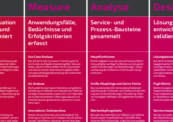 Ausschnitt der Innovations-Roadmap für Service- und Prozess-Innovation - TOM SPIKE