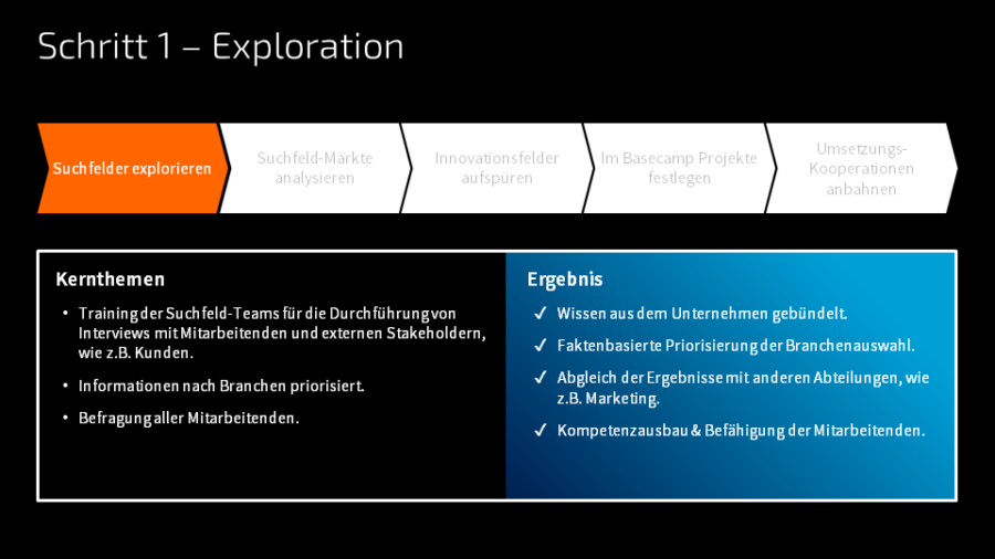 Die Suchfeldexploration beginnt mit dem Training der "Suchfeld-Teams" für die Durchführung von Interviews mit Mitarbeitenden und externen Stakeholdern, wie z.B. Kunden. 